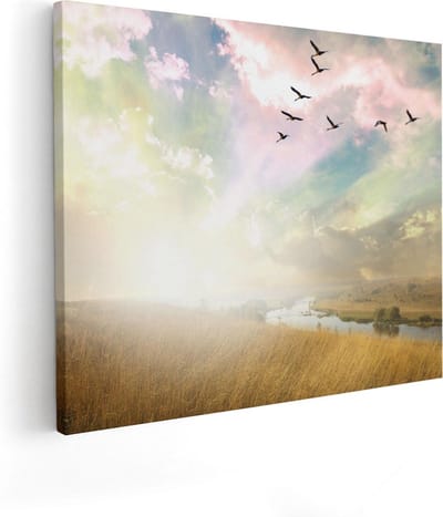 Artaza Canvas Schilderij Vogels - 50x40 cm - Wanddecoratie Zonsondergang - Muurdecoratie Landschap - Kamer Accessoires Natuur