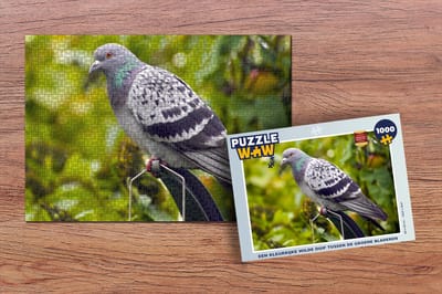 Puzzel Een kleurrijke wilde duif tussen de groene bladeren - Legpuzzel - Puzzel 1000 stukjes volwassenen