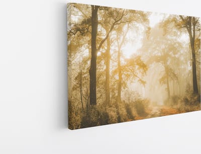 Saammp Canvas Schilderij - Lichtval tussen de Bomen - Landschap - Natuur - 45x30 - Foto op canvas - Wanddecoratie - Muurdecoratie Woonkamer - Slaapkamer decoratie - Canvas Print