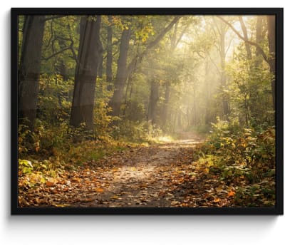 Poster in lijst - Fotolijst 80x60 cm - Posters - Zonlicht - Bospad - Bomen - Posterlijst zwart - Decoratie - Wanddecoratie woonkamer - Muurdecoratie slaapkamer