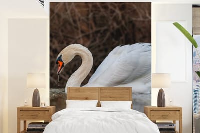 Behang - Fotobehang Zwaan - Water - Dieren - Vogel - Breedte 160 cm x hoogte 220 cm