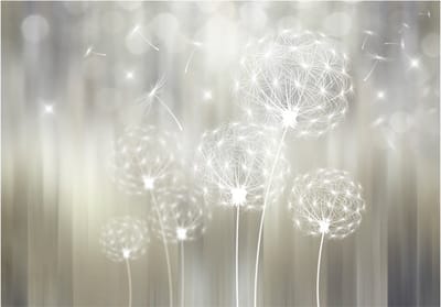 Fotobehangkoning - Behang - Vliesbehang - Fotobehang Paardenbloemen in de Zon - Gift of the Sun - 300 x 210 cm