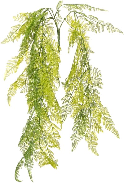 Kunstmatige hangplant in de vorm van een varen, een decoratieve blikva