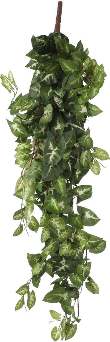 Mica Decorations - Fittonia Kunst Hangplant - L15 x B30 x H80 cm - Groen