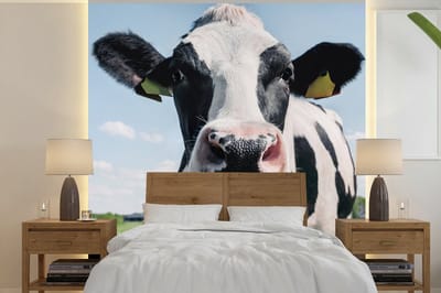 Behang - Fotobehang Koe - Weiland - Natuur - Dieren - Gras - Breedte 220 cm x hoogte 220 cm