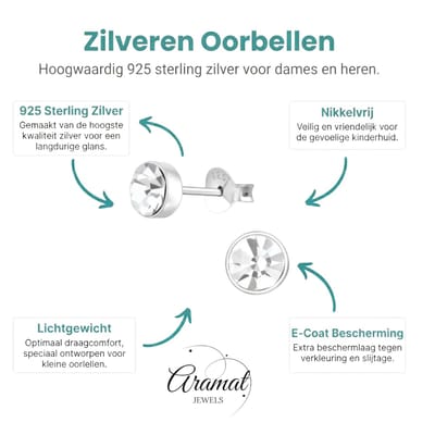 Aramat Jewels | Oorbellen | Zilveren kristal oorstekers – 5 mm - Transparante steen | | | |5mm | Zilver | Kinderen, Volwassenen | Verkleurd niet