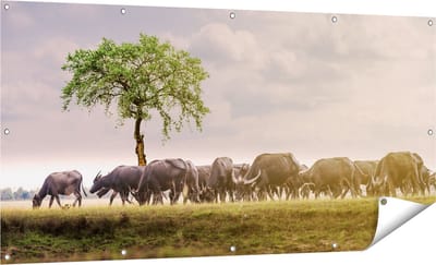 Gards Tuinposter Kudde Buffels bij een Boom - 160x80 cm - Tuindoek - Tuindecoratie - Wanddecoratie buiten - Tuinschilderij