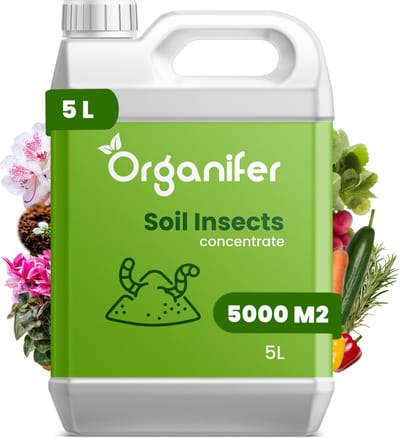 Soil Insects Bodeminsecten Concentraat (5L, 5000m2) - Insecten Bestrijding - Taxuskever Bestrijden - Toepasbaar bij Spint, Ritnaalden, Bodem - Aardrupsen, Larven van Prachtkevers en Spintkevers en andere schadelijke insecten - Organifer