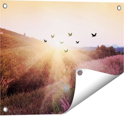 Gards Tuinposter Silhouet Zwerm Vogels bij Zonsondergang - 50x40 cm - Tuindoek - Tuindecoratie - Wanddecoratie buiten - Tuinschilderij