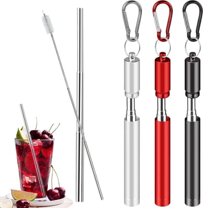 Set van 3 Uittrekbare RVS Rietjes, Herbruikbare Metalen Rietjes met Schoonmaakborstel en Opbergdoos, Ideaal voor Thuis en Reizen (10-22,5 cm)