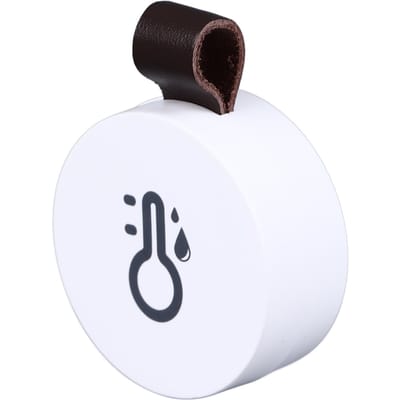 Elektronische Temperatuur Vochtigheid Meter Bluetooth 5.0 Mini Hygrometer Thermometer voor Thuis