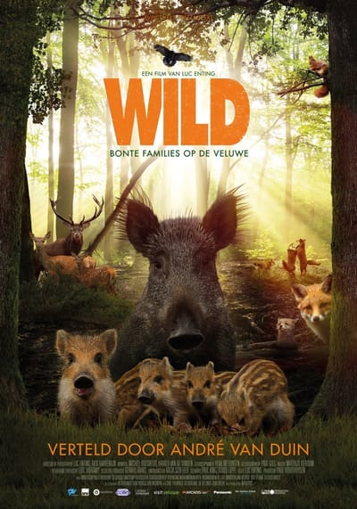 Wild (DVD)