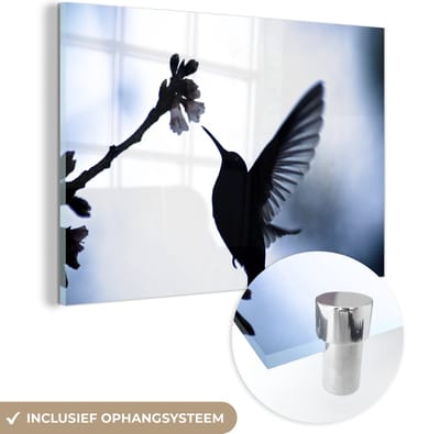® Glasschilderij 180x120 cm - Schilderij acrylglas - Vogel - Kolibrie - Silhouet - Foto op glas - Muurdecoratie woonkamer - Wanddecoratie slaapkamer - Schilderijen