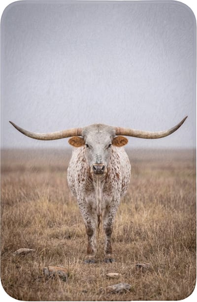 WC mat 40x60 cm - Antislip - Longhorn - Grasveld - Dier - Toiletmat - Vloermat - Douchemat - Toilet tapijt - Toiletmatten