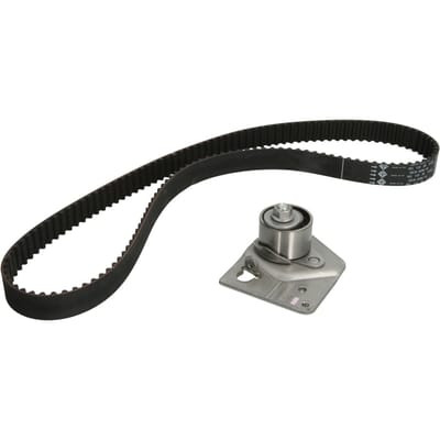 Schaeffler Ina Distributieriemset INA 530 0442 10