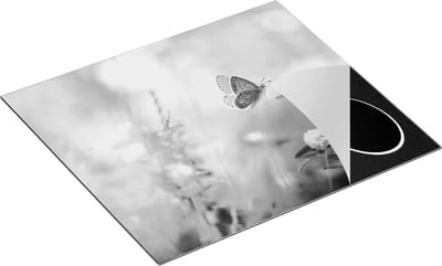 Chefcare Inductie Beschermer Blauwe Vlinder bij een Paarse Bloem - Zwart Wit - 60x50 cm - Afdekplaat Inductie - Kookplaat Beschermer - Inductie Mat