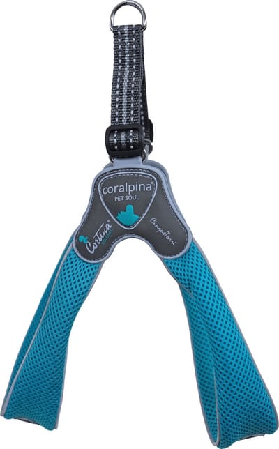 Coralpina - Cinquetorri - Hondenharnas - Turquoise - Maat 4: 35-45 cm / 5-6 kg