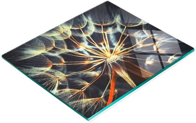 Keukenplank van gehard glas met decoratieve paardenbloemafbeeldingen, 60x52 cm