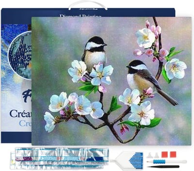 Figured'Art Diamond Painting set Volwassenen 40x50 cm met lijst Kleine vogels en witte bloemen - 5D DIY Art full drill vierkante diamant - Canvas al ingelijst