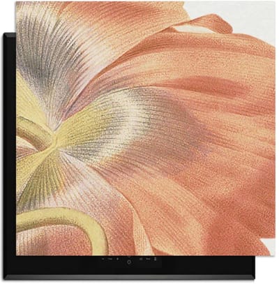 KitchenArt - Poppy Bloom – Inductie Beschermer - 59x52 cm - Kookplaat Beschermer - Luxe Afdekplaat Inductieplaat - Anti-slip & Oprolbaar - Beschermmat Inductiekookplaat