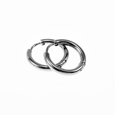 ∅12mm x 2,5mm Oorringen Unisex - Stalen Zilverkleur - Ronde Oorbellen