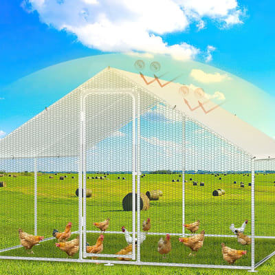 3 x 3 x 2 m kippenren, kippenhok buitenverblijf,Draadren, Puntdak