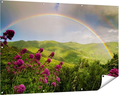 Gards Tuinposter Regenboog in de Heuvel Bossen - 150x100 cm - Tuindoek - Tuindecoratie - Wanddecoratie buiten - Tuinschilderij