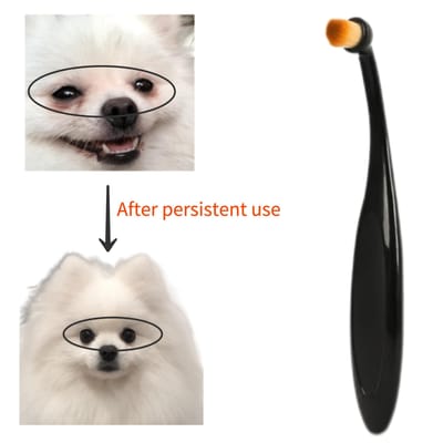 Brosse Douce pour Nettoyage des Yeux d'Animaux pour Chiens et Chats Démaquillant Doux pour Taches de Larmes, Non Électrique, Manche en Plastique beige
