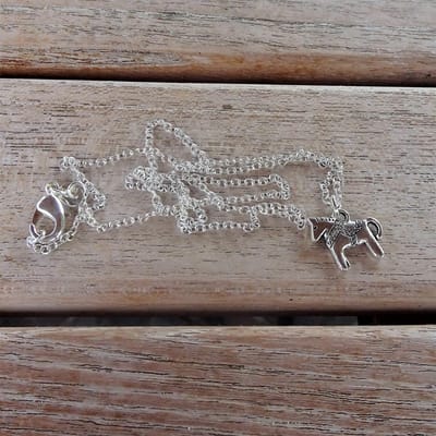 GoedeDoelen.Shop | Ketting Sjimmie | Paarden Ketting | Paarden Sieraad | Love Horses | Paarden Welzijn | Dierenwelzijn | Wellness-House