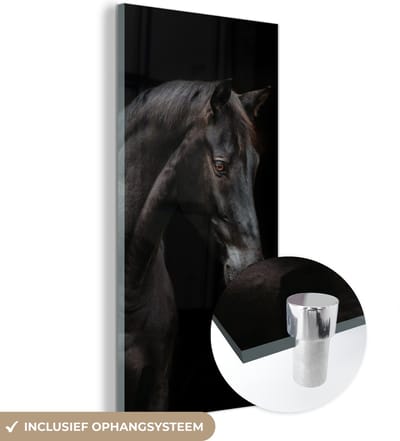 MuchoWow® Glasschilderij 20x40 cm - Schilderij acrylglas - Paard - Dieren - Zwart - Portret - Foto op glas - Schilderijen