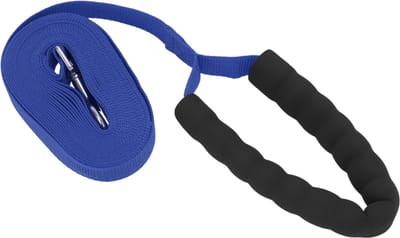 Dailygoody - Trainingslijn voor honden - Puppylijn 10 meter - Duurzaam en sterk - Blauw - Geschikt voor alle honden - Ideaal voor outdooractivite