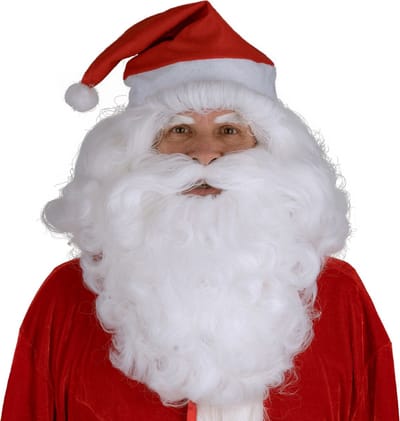 Kerstman baard met pruik compleet
