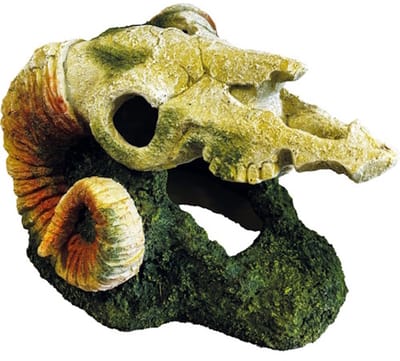 Repto Deco Goat Skull terrariumornament 28 x 23 x 18 cm met schuilplaatsen