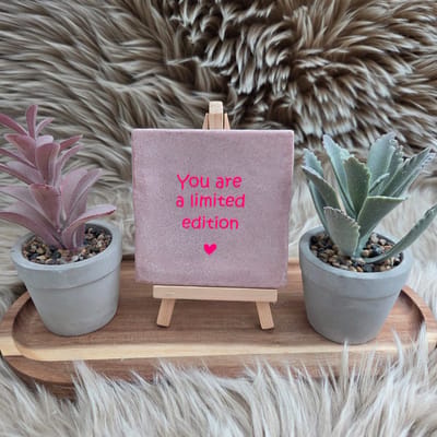 Robuust Wenstegeltje – You Are a Limited Edition – Hip trendy tegeltje – Uniek Cadeau voor Vriendin, Zus of Collega – Stoer & Stijlvol Woonaccessoire - Zomaar - Afscheid - Pensioen – Trendy nu – Decoratief Tegeltje met Standaard – Cadeau Idee