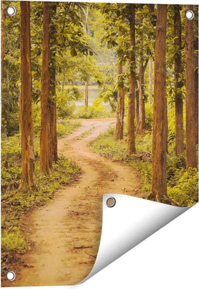 Gards Tuinposter Pad in het Bos met Bomen - 40x50 cm - Tuindoek - Tuindecoratie - Wanddecoratie buiten - Tuinschilderij