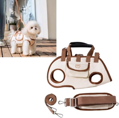 Draagtas voor kleine honden - schoudertas voor uitstapjes met de hond - Kan met de hand worden gedragen of aan de riem worden bevestigd - Multifunctionele rugzak voor huisdieren - Geschikt voor kleine en middelgrote honden - 【S】voor 2 - 4 kg