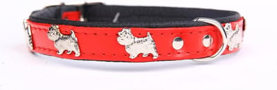 Dog's Companion Leren Halsband - Westie - Lengte: 35cm - Verstelbaar 28-34 cm x 16 mm - Rood / Zwart