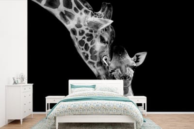 Behang - Fotobehang Portret - Giraffe - Dieren - Zwart - Wit - Breedte 450 cm x hoogte 300 cm