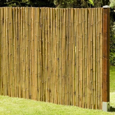 Bamboe Schutting - Privacy Scherm - Tuin Balkon - Gesloten Bovenkant - 200x180 cm - Naturel