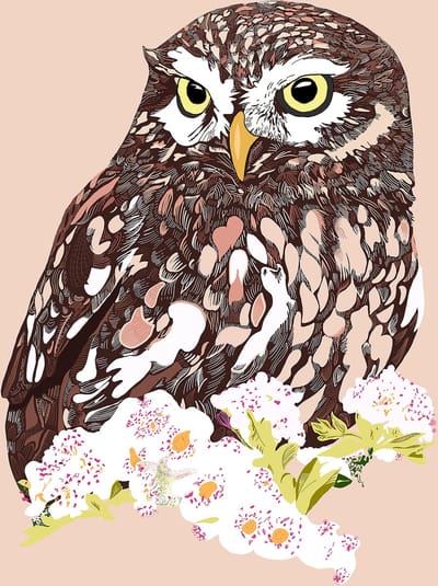 CANVASDOEK ILLUSTRATIE UIL | Wanddecoratie | 20 CM x 30 CM | Canvas | Foto op canvas | Aan de muur | Natuur | Dieren