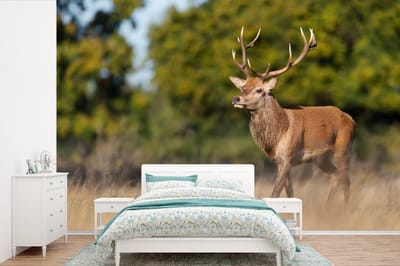 Behang - Fotobehang Dieren - Hert - Gewei - Bosdieren - Natuur - Breedte 390 cm x hoogte 260 cm