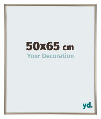 Your Decoration - Fotolijst 50x65 cm - Kunststof - Champagne - Annecy