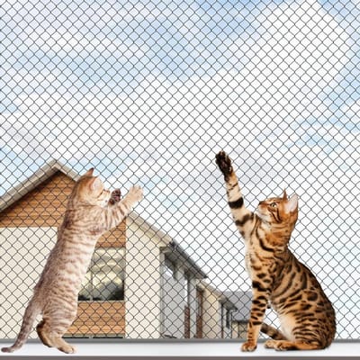 Kattenbeschermingsnet - Veiligheidsnet Kat - Balkon Beveiligen - Zonder Boren Montage - 6 x 3 Meter - Zwart