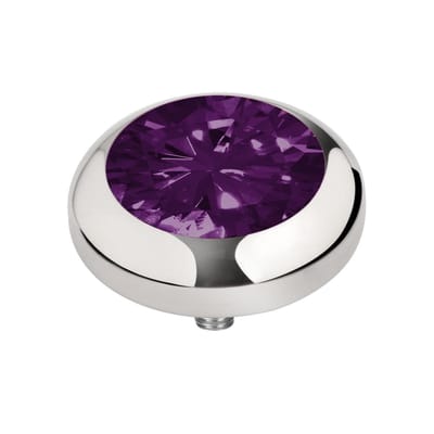 MelanO Stainless Steel Ring Set Scenery Jasper/Rhodolite