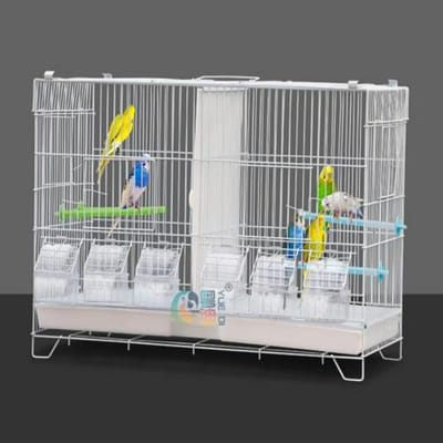 PIPIPOXER-Vogelkooi, volière, papegaaienkooi, dubbele kooi, scheidingswand, kweekkooi, 60*26*39,5cm, wit