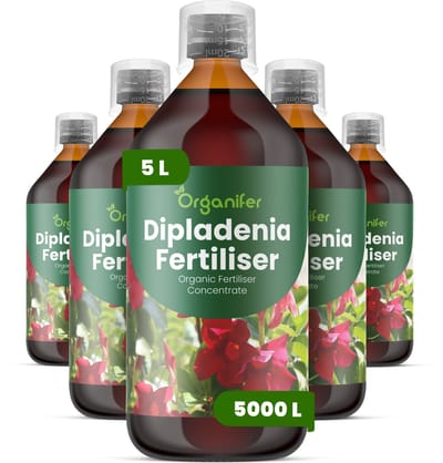 Vloeibare Meststof Voor Dipladenia 5X1 L Voor 5000 L - Npk 2-1-8 - Krachtige Groei - Trompetvormige Bloemen - Sterke Wortels - Hittebestendig - Stressbestendig - Compacte Groei - Bloemkleurintensiteit - Doorlopende Bloei - Organifer