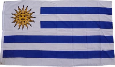 Uruguayaanse vlag - Vlag van Uruguay - Uruguayaanse vlag - Uruguayaanse Gemeenschaps Vlag - 90/150CM - Uruguay - Montevideo