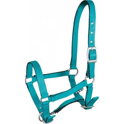 Halster voor paarden York Tobi