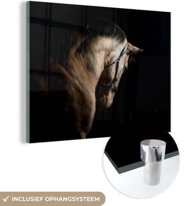 MuchoWow® Glasschilderij 160x120 cm - Schilderij acrylglas - Paarden - Halster - Zwart - Foto op glas - Schilderijen