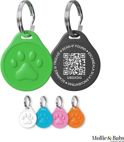 Mollie & Babs QR ID Tag - Pet Tag - QR Code - Hondenpenning - Dierenpenning - Duurzaam - Kunststof - Ø30mm - Groen - zoekmijnbaasje.nl